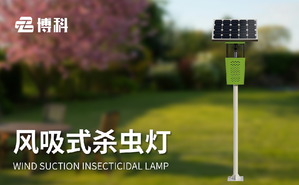 1714275010467544.jpg 5.jpg