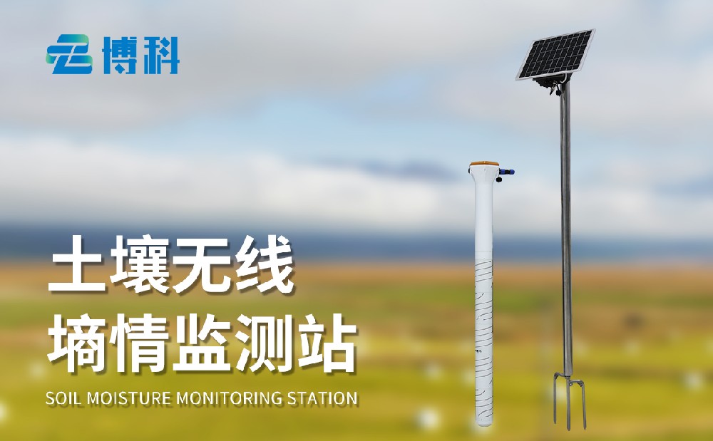 土壤墑情測定儀在茶園種植管理中能起到哪些作用