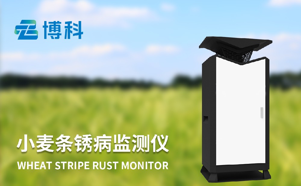 小麥條銹病監(jiān)測儀精準(zhǔn)掌握農(nóng)田條銹病發(fā)生情況